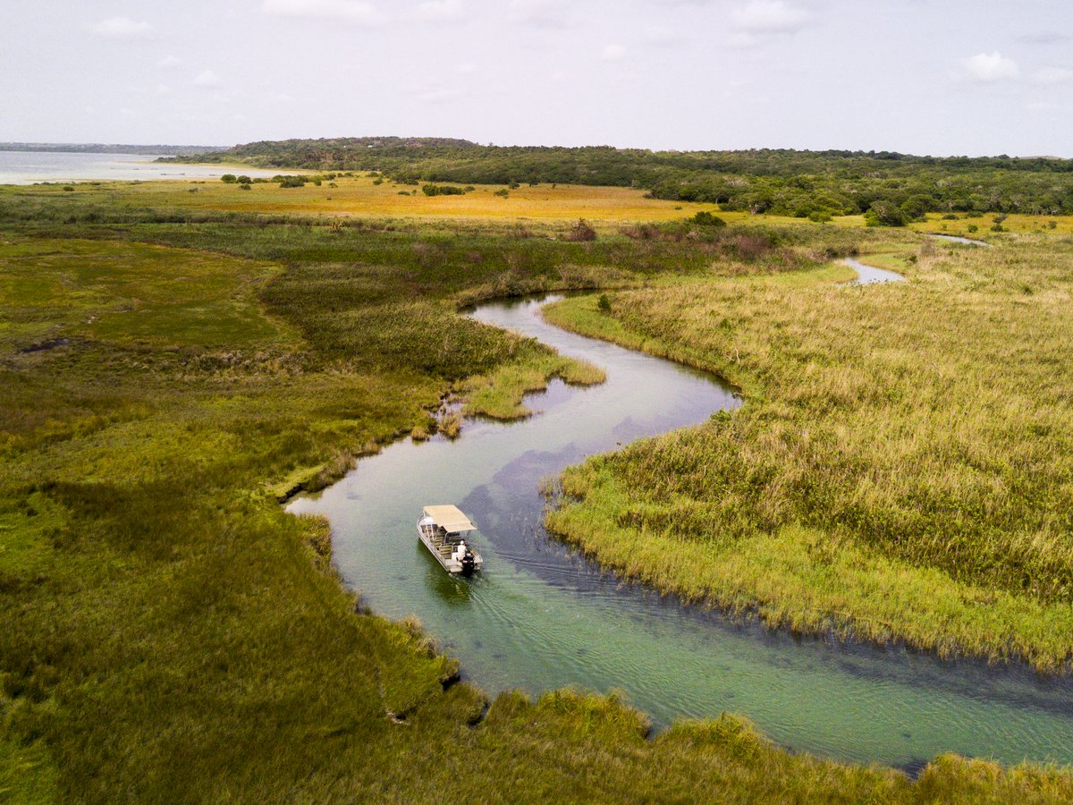 Luftaufnahme eines schmalen Flusses mit einem Boot, das durch eine grüne, offene Landschaft fährt.